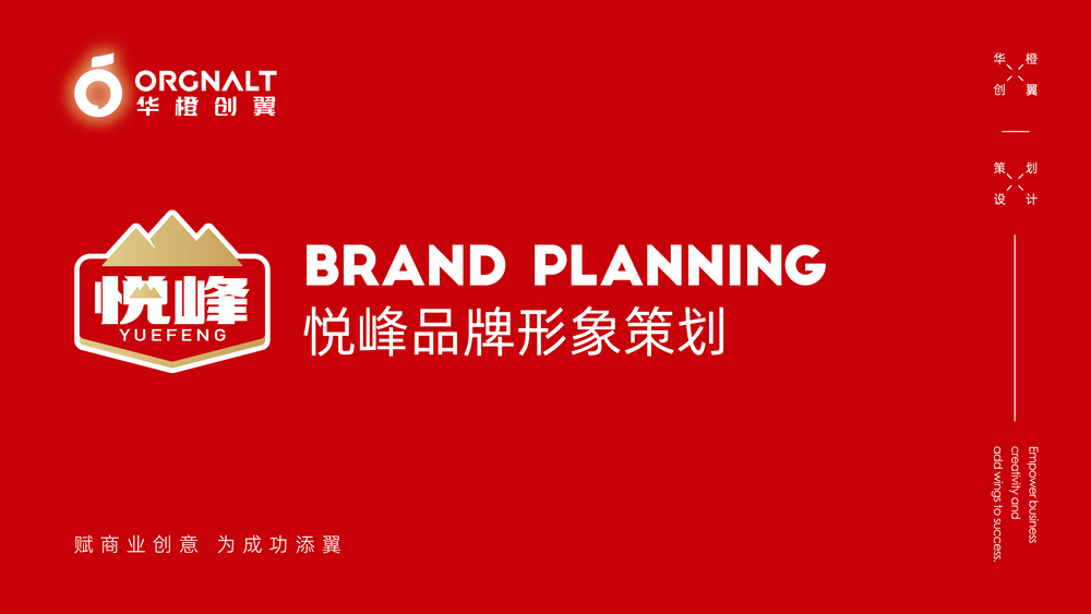 华橙创翼品牌策划案例模板_华橙案例-13.jpg