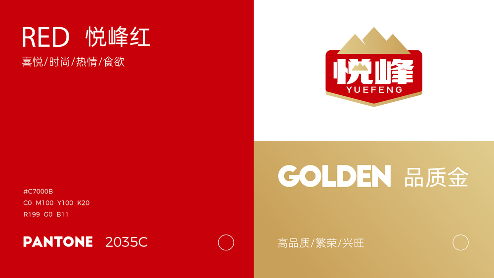 华橙创翼品牌策划案例模板_华橙案例-16.jpg