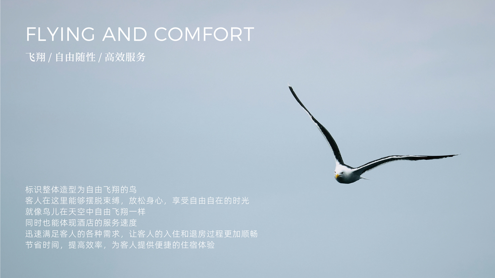 华橙品牌策划案例-曼汀、铂菲、四季海棠_华橙案例-13.jpg