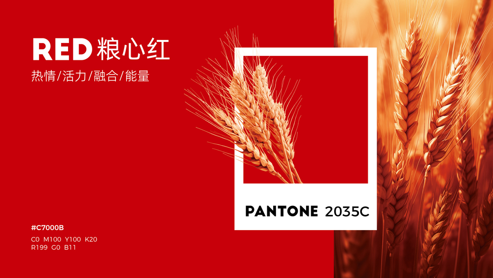华橙品牌策划案例-粮心、盛通天茂、钱成、恩义_华橙案例-4.jpg